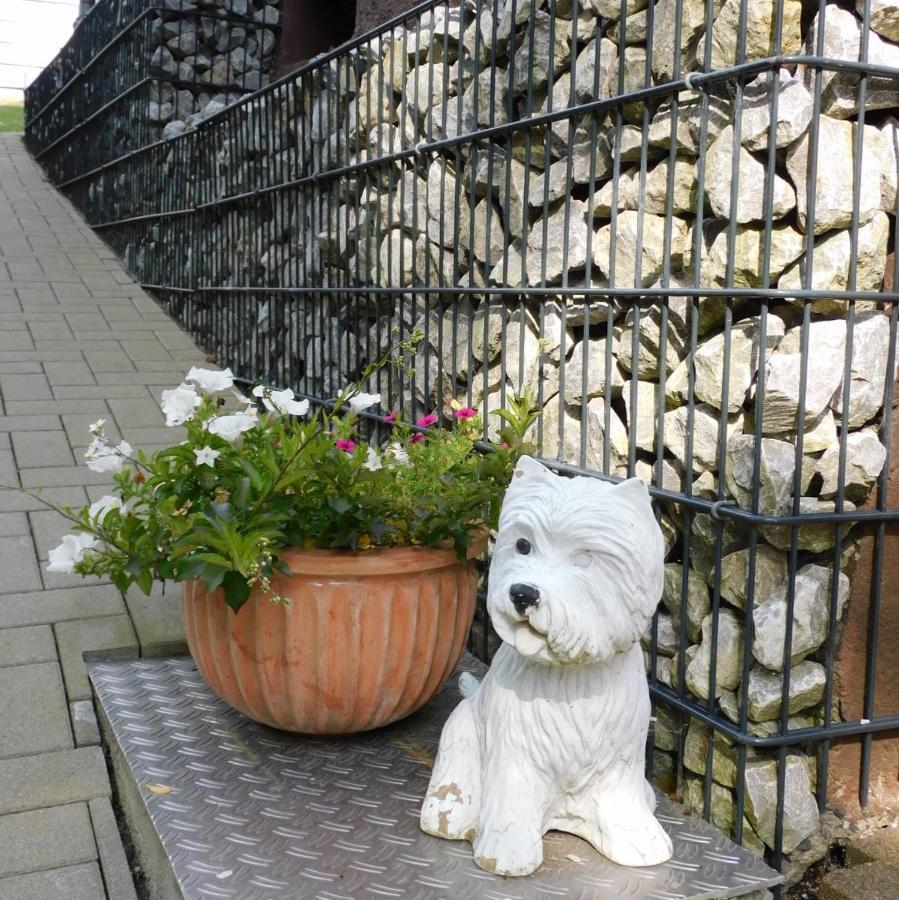 Pension Hofmann Volkholz 外观 照片